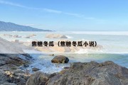 焦糖冬瓜（焦糖冬瓜小说）