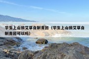 学生上山摘艾草自制青团（学生上山摘艾草自制青团可以吗）