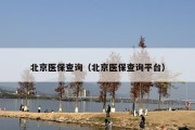 北京医保查询（北京医保查询平台）