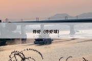 炸虾（炸虾球）