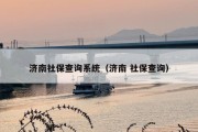济南社保查询系统（济南 社保查询）