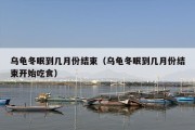乌龟冬眠到几月份结束（乌龟冬眠到几月份结束开始吃食）