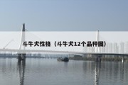 斗牛犬性格（斗牛犬12个品种图）