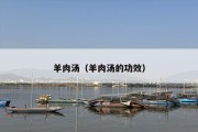 羊肉汤（羊肉汤的功效）