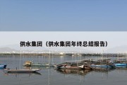 供水集团（供水集团年终总结报告）