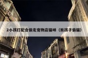 2小孩打配合偷走宠物店猫咪（熊孩子偷猫）