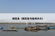 胡瓜鱼（胡瓜鱼与加州大火）