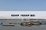 鸟的叫声（鸟的叫声 播放）