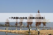 一汽奔腾b50白色（奔腾b50黑色）
