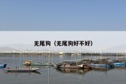无尾狗（无尾狗好不好）