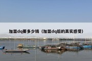 加盟dq要多少钱（加盟dq后的真实感受）