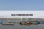 包含火鸡面的做法的词条