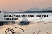 湖北省人力资源和社会保障厅（湖北省12333社保查询网）