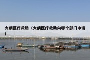 大病医疗救助（大病医疗救助向哪个部门申请）