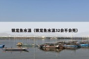 银龙鱼水温（银龙鱼水温32会不会死）