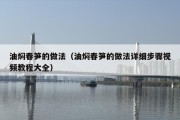 油焖春笋的做法（油焖春笋的做法详细步骤视频教程大全）