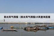 青川天气预报（青川天气预报15天查询百度）