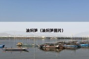 油焖笋（油焖笋图片）
