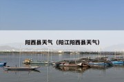 阳西县天气（阳江阳西县天气）