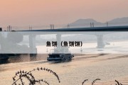 鱼饼（鱼饼饼）