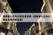 湖南省人口与计划生育条例（湖南省人口与计划生育条例修正案）