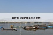 狗护食（狗护食是什么意思）