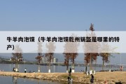 牛羊肉泡馍（牛羊肉泡馍乾州锅盔是哪里的特产）