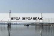 纽芬兰犬（纽芬兰犬图片大全）