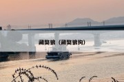 藏獒狼（藏獒狼狗）
