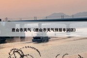 唐山市天气（唐山市天气预报丰润区）
