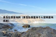 青岛社保查询网（青岛社保查询个人官网查询系统）