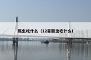 瓢虫吃什么（12星瓢虫吃什么）