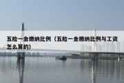 五险一金缴纳比例（五险一金缴纳比例与工资怎么算的）