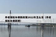 养老保险补缴新政策2022年怎么交（养老保险补缴新规）