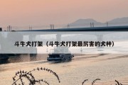 斗牛犬打架（斗牛犬打架最厉害的犬种）