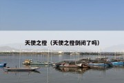 天使之橙（天使之橙倒闭了吗）