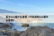 车子suv是什么意思（汽车说的suv是什么意思）