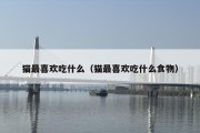 猫最喜欢吃什么（猫最喜欢吃什么食物）