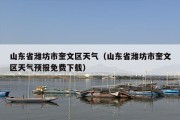 山东省潍坊市奎文区天气（山东省潍坊市奎文区天气预报免费下载）
