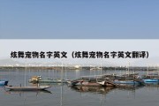 炫舞宠物名字英文（炫舞宠物名字英文翻译）