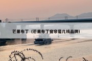 芒果布丁（芒果布丁窗帘是几线品牌）