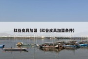 红谷皮具加盟（红谷皮具加盟条件）