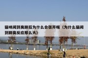 猫咪闻到臭脚后为什么会张开嘴（为什么猫闻到脚臭反应那么大）