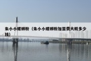 朱小小螺蛳粉（朱小小螺蛳粉加盟费大概多少钱）