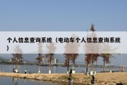 个人信息查询系统（电动车个人信息查询系统）