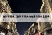 自制苏打水（自制苏打水的方法有什么危害吗）