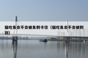 猫吃鱼会不会被鱼刺卡住（猫吃鱼会不会被刺到）