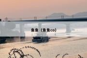 鱼鱼（鱼鱼co）