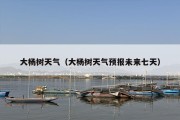 大杨树天气（大杨树天气预报未来七天）