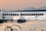 猪皮冻的正确做法（猪皮冻的正确做法视频教程）